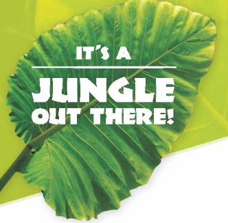 Navigate the Jungle: Free Health Care Seminar