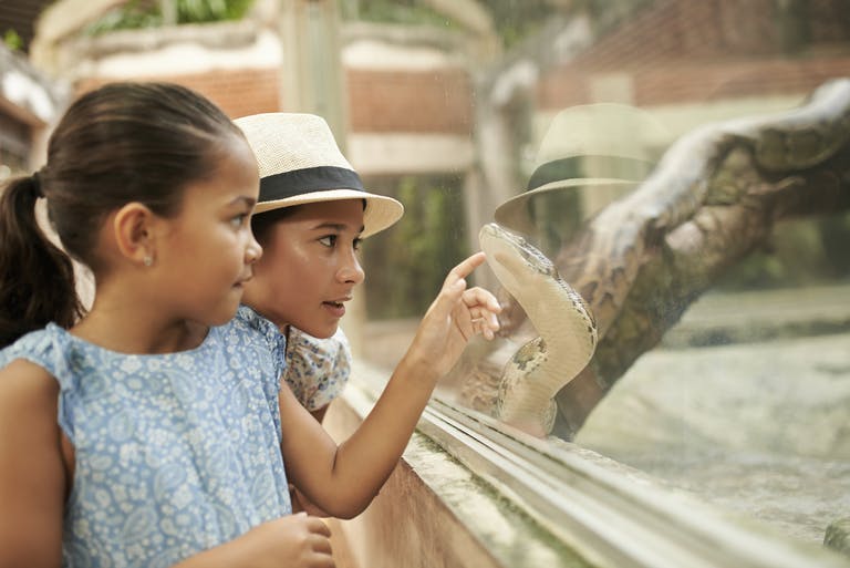 It's a Jungle Out There: Special HR Considerations for Zoos