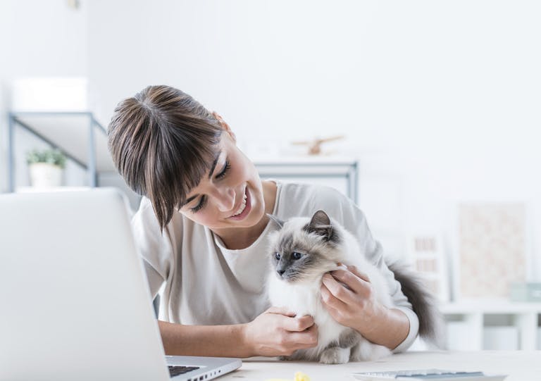 Take the Bite Out of Archaic HR Processes