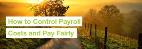How to Establish Salary Ranges