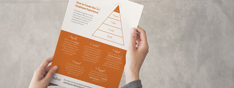 How to Create the Ideal Employee Experience