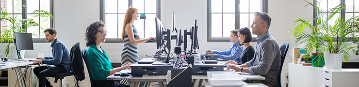 employees and freelancers in office